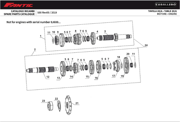 oErpt21Qsn_20A - Moteur (CABALLERO 500 FLAT TRACK).png